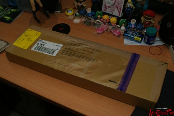 SONY DSC