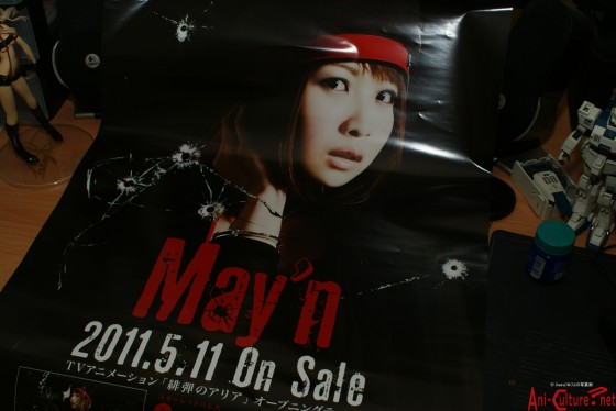 SONY DSC